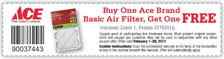February Ace Air Filter Coupon