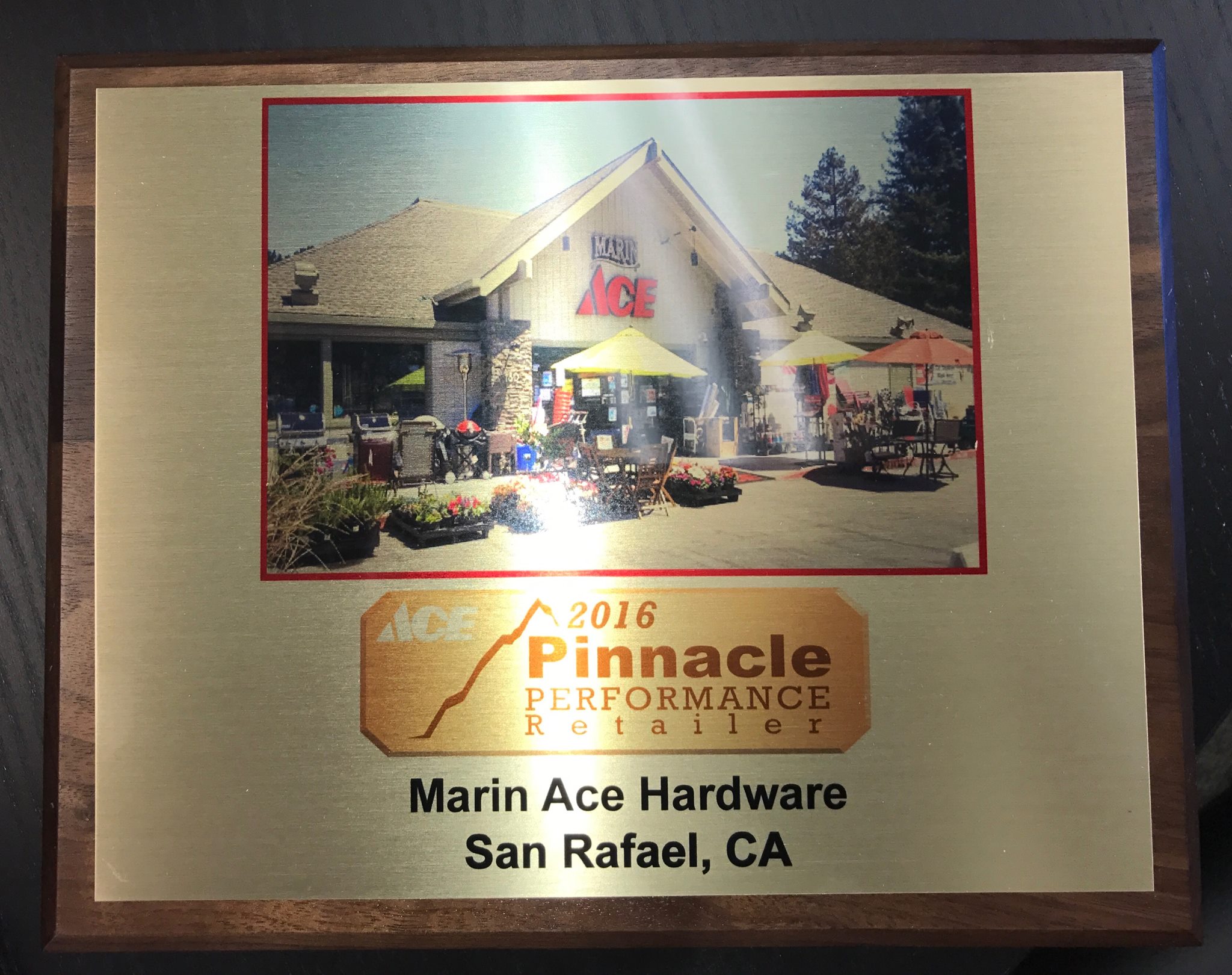 2016 Marin Ace Pinnacle Award