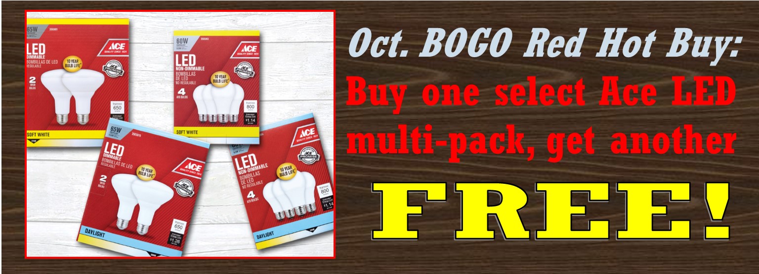 October LED BOGO