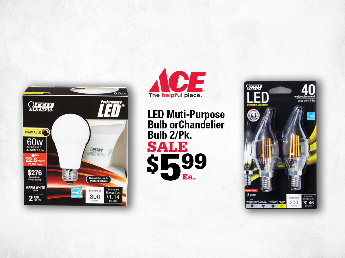 Marin Ace February Deals - LED Bulbs