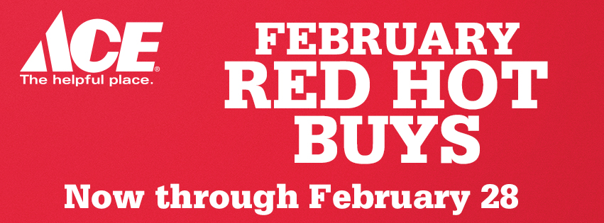 Ace February Red Hot Buys