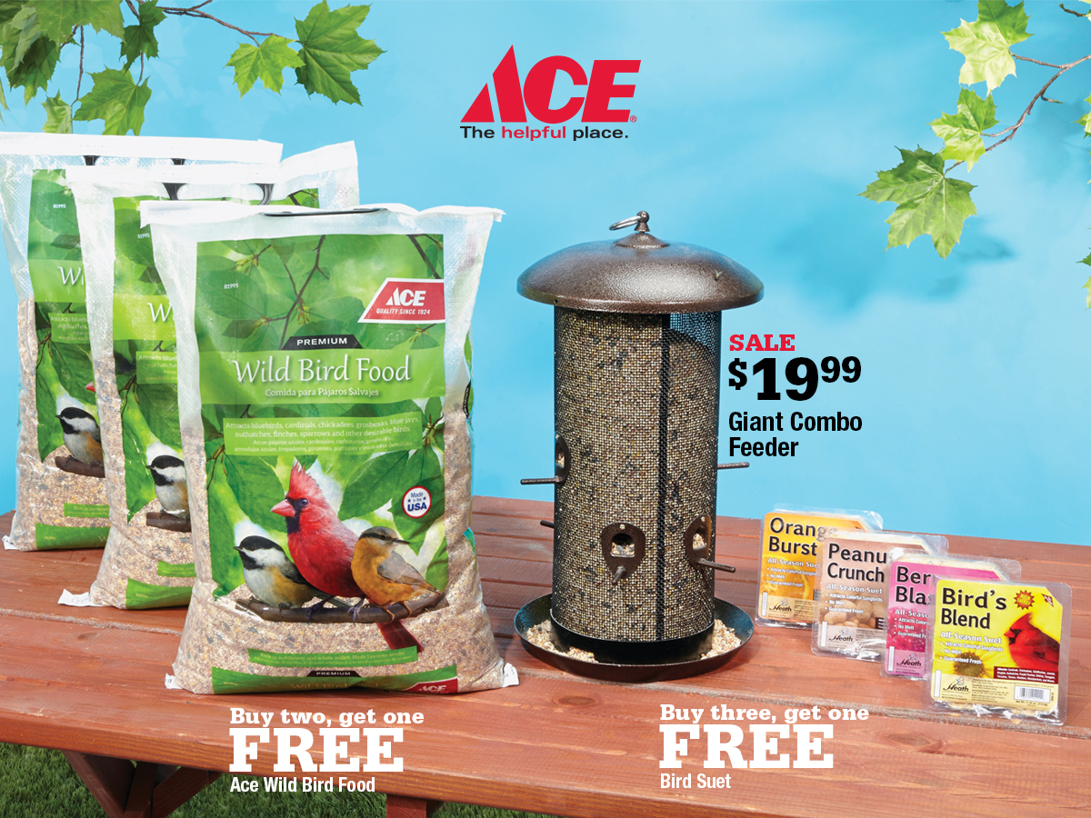 Marin Ace February Deals - Bird Feed