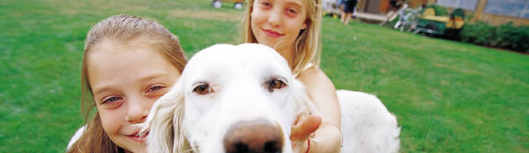 Pet Supplies at Marin Ace Hardware Pet Supplies at Marin Ace Hardware