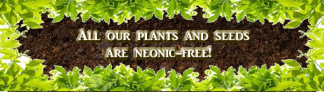 Neonicitinoid Free Plants & Seeds