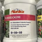 Alaska Norbloom