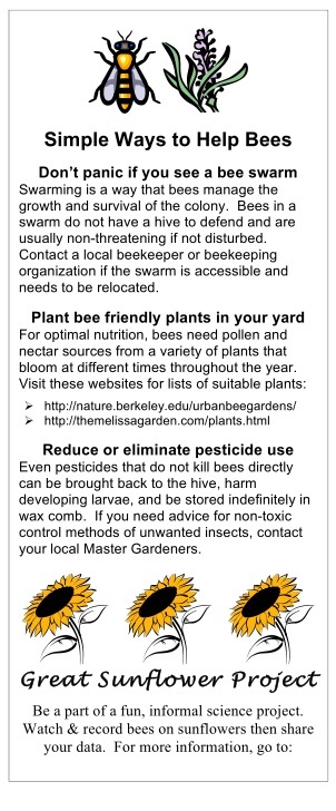 Simple Ways To Help Bees