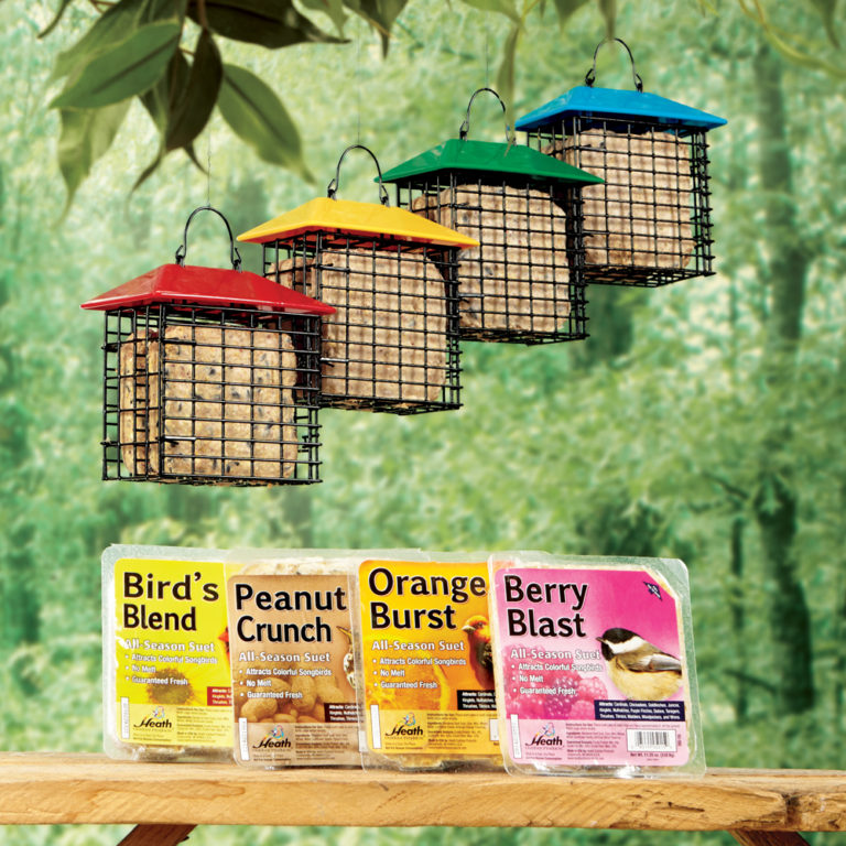 March 2018 Bird Seed B3G1 Marin Ace Hardware San Rafael, CA