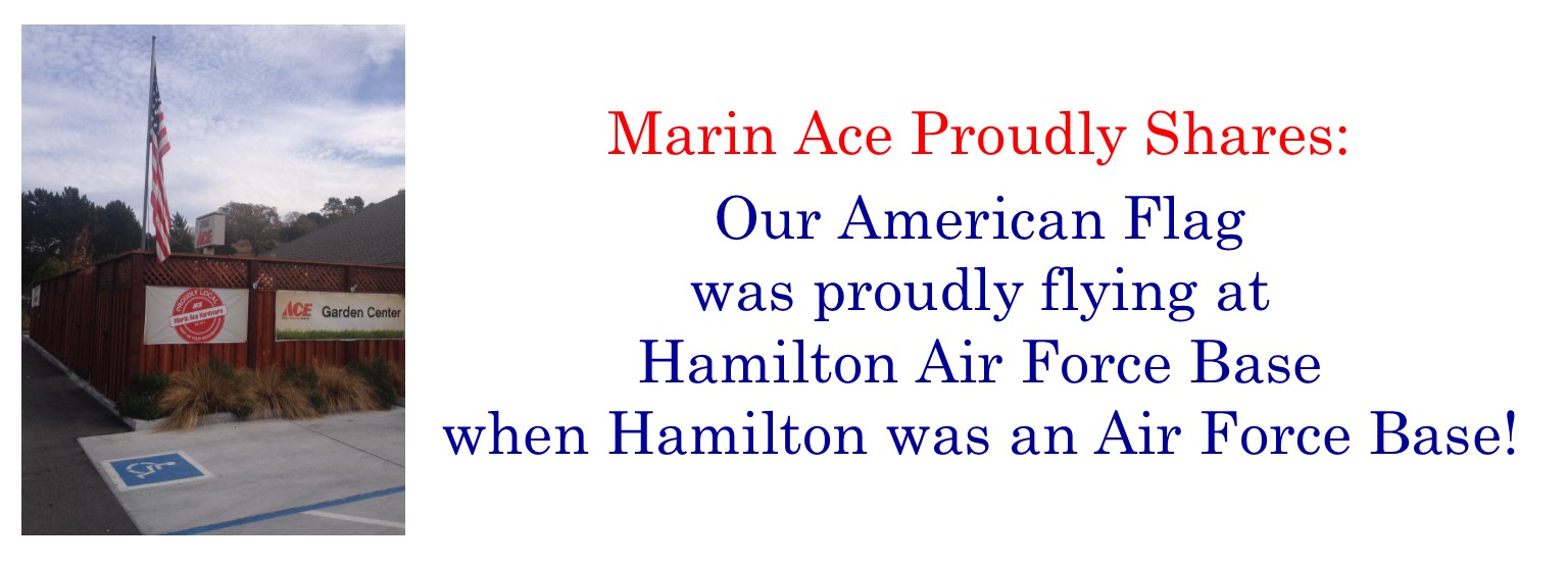 Marin Ace Flag history