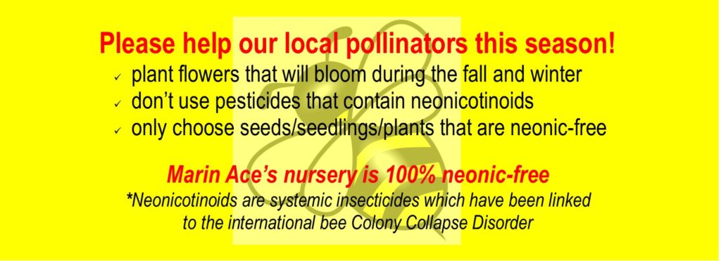 Slider Plant Fall for Pollinators Plant now for pollinators this winter