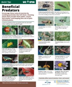 beneficialpredators quick chart-page-0