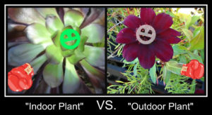 Inside Out, a plant is a plant.