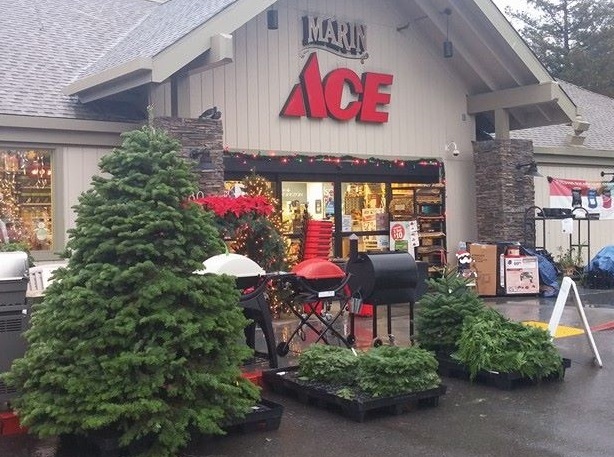 Exterior Marin ace Holiday