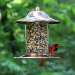 Seed feeder