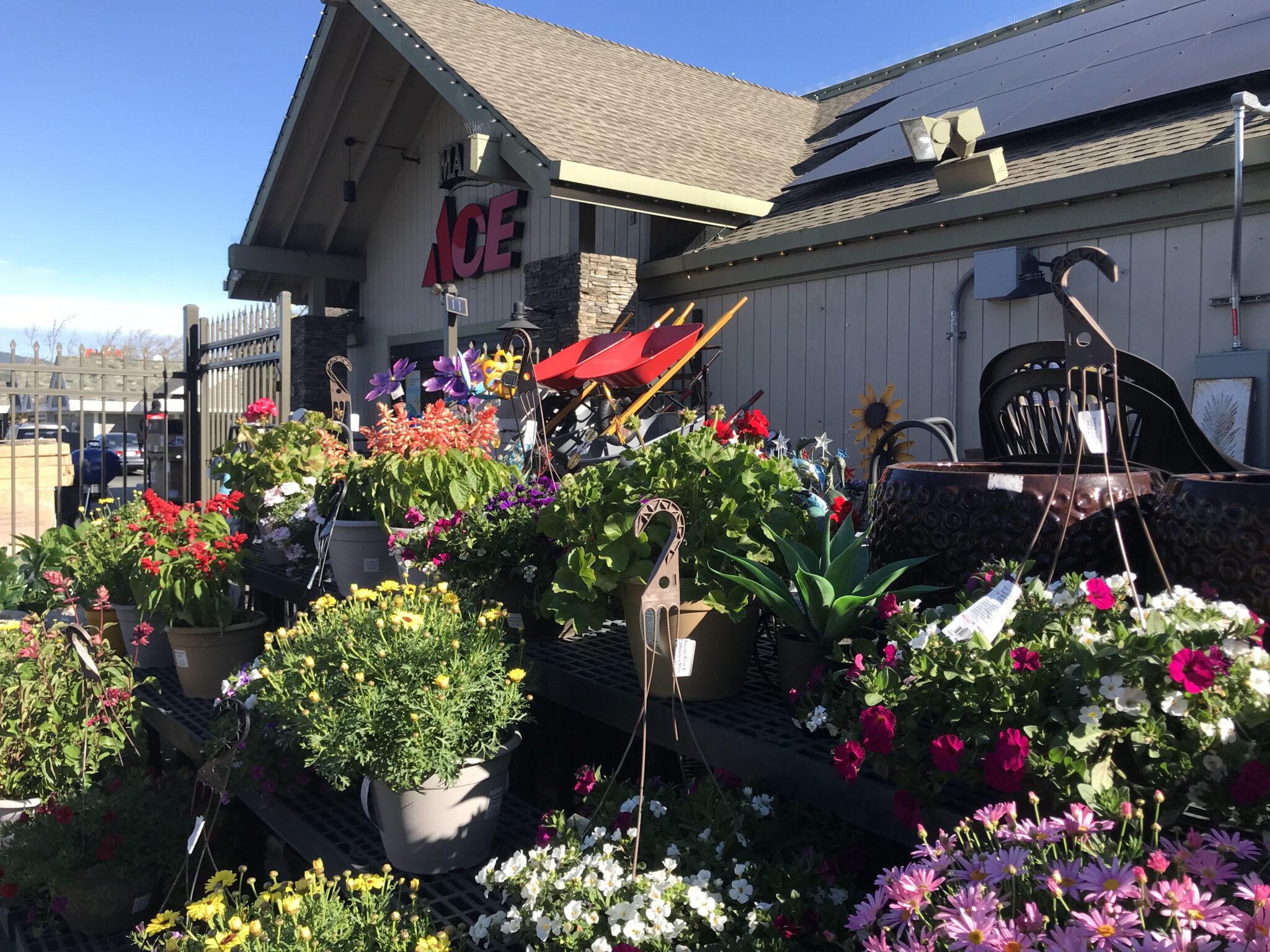 Home Marin Ace Hardware San Rafael, CA