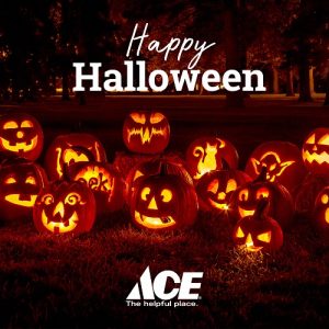 ace happy halloween pumpkins 500x500 Ace Happy Halloween