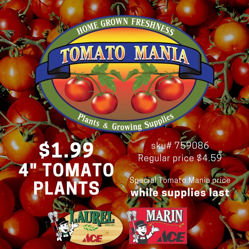 Tomatomania! $1.99