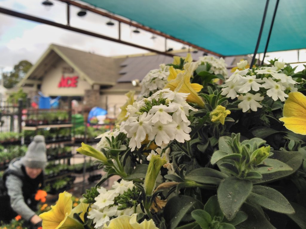 Home Marin Ace Hardware San Rafael, CA