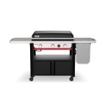 Weber Slate