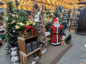 SM PATIO christmas dupe-7