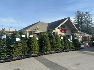 SM TREES christmas ext-2